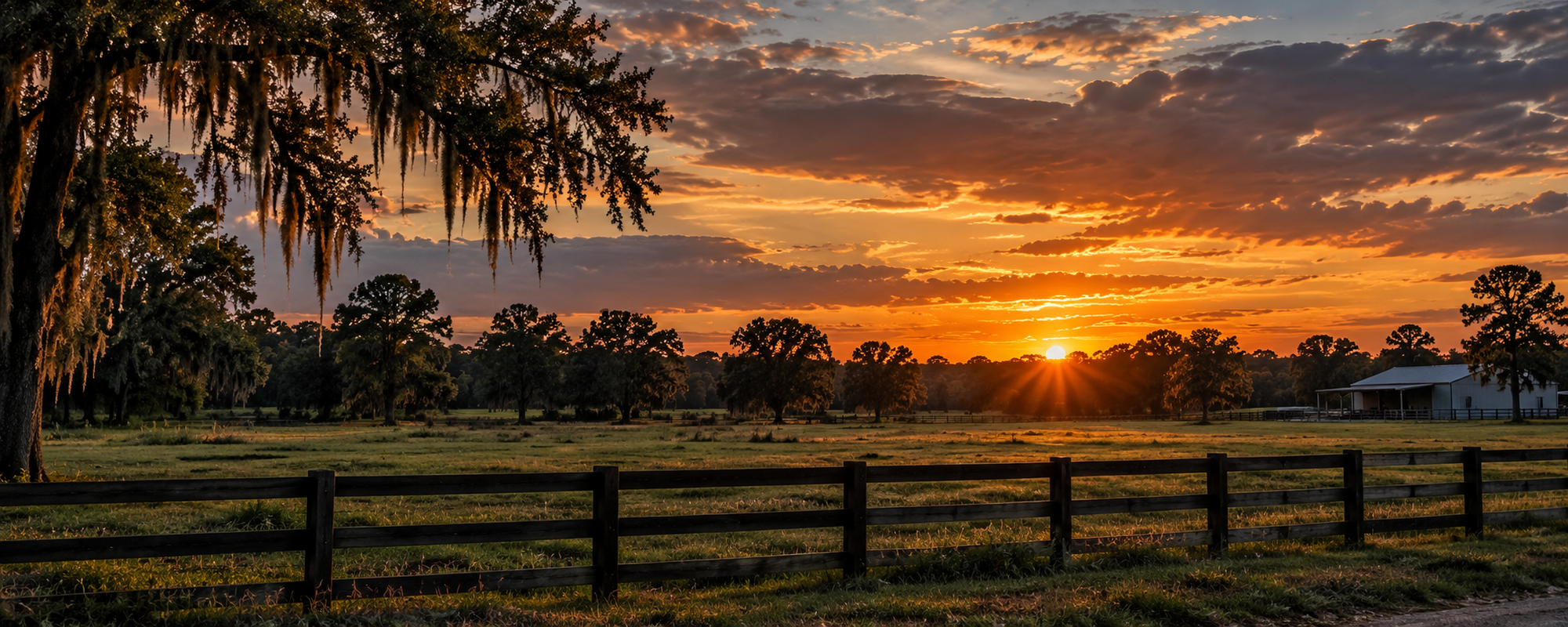 North Central Florida pasture and fence line at sunset
